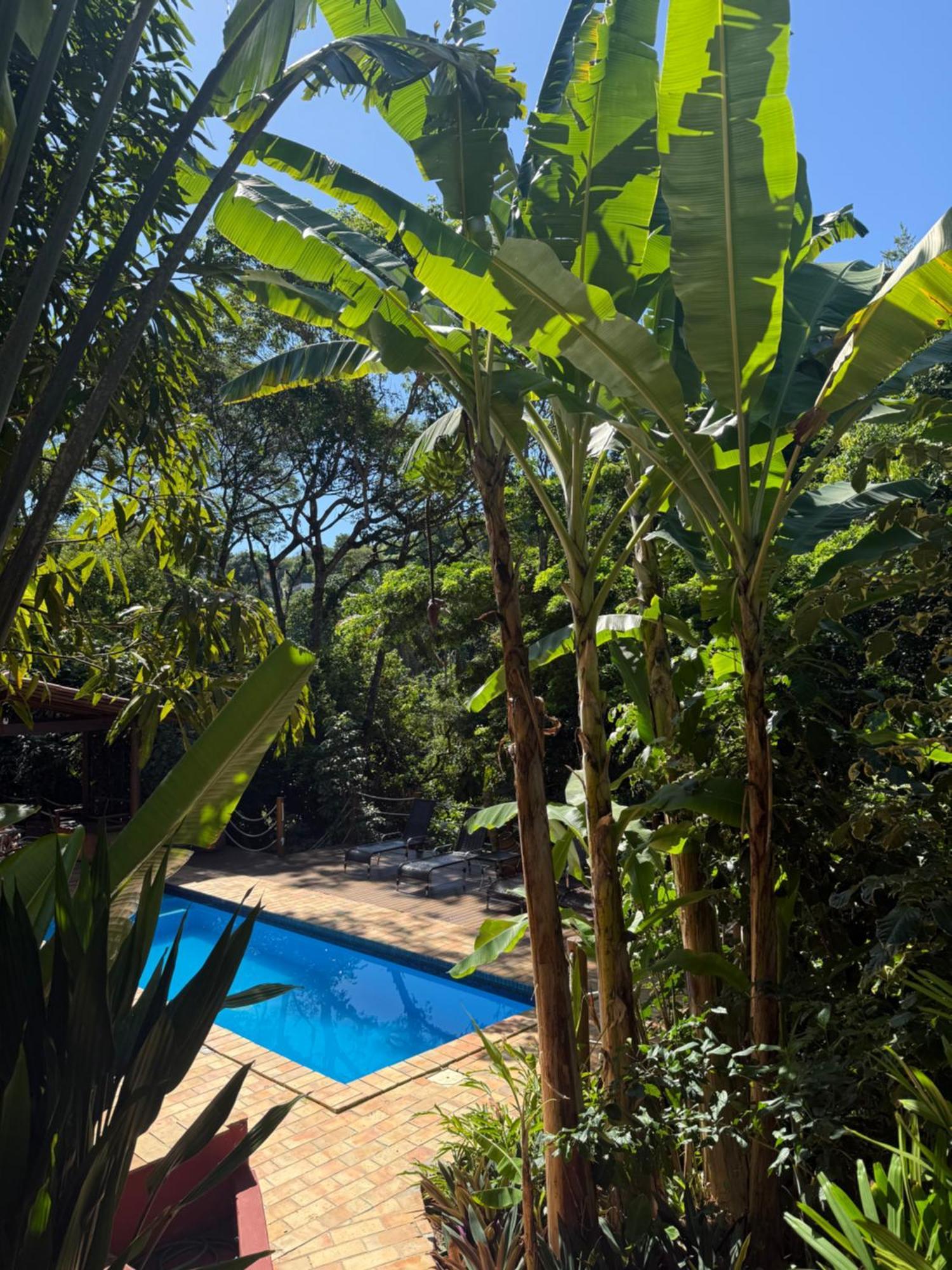 Jardim Botanico Casa Rossa Bungalows & Apartments Морро-де-Сан-Паулу Экстерьер фото